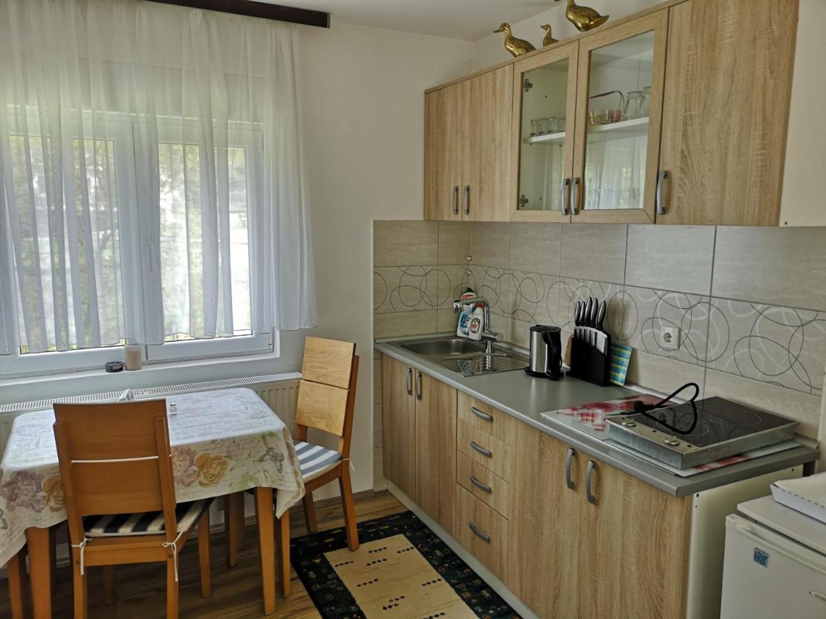 Apartmani Zubor Banja Koviljača Buitenkant foto